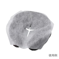 �A�Y�����@�f�B�X�|���J�o�[