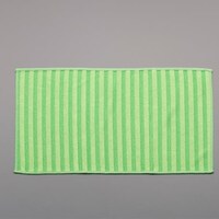 アイオン 230x405mm 網戸クロス EA928AC8