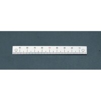 �T�O�����@�m�������^���ڐ��n�X�P�[���@�d�`�X�S�W�i�P�P