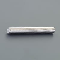 �l�W�@���Q�Q�O�����@�J�b�g�{���g�i�E�˂��^�X�e�����X���j�@�d�`�X�S�X�g�g�S�V