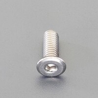 M6 x20mm 六角穴付ボルト(超低頭/ステンレス/2本) EA949MX620