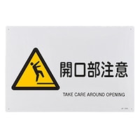 �i�h�r���S�W���m�J�������Ӂn�@�d�`�X�W�R�a�U�P