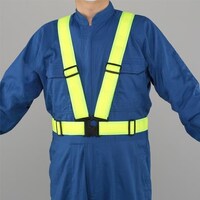 ���S�x�X�g�i�u���C�G���[�j�@�d�`�X�W�R�q�P�P�O