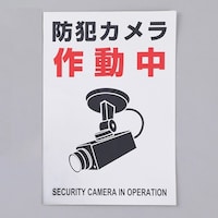 220x150mm 防犯用ステッカー(防犯カメラ/2枚) EA983TS47