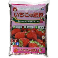 �����A�O���A�@�������̔엿�@�T�����@�엿�@�Â݂������@�P��