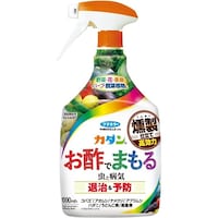 �t�}�L���[�@�J�_�����|�ł܂���