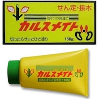 �x�m�����@�J���X���C�g�@�P�T�O���@�؂���ی�@�����ی�@�P��