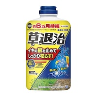 KINCHO園芸 草退治E粒剤