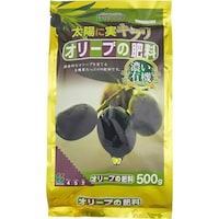 �Ԃ�����@�I���[�u�̔엿�@�T�O�O���@�엿�@�L�@�@�P��