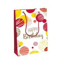 クオバディス ペーパーバッグHBレッドMレッド×6