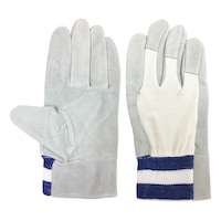 �G�[�X�@�����v��܁@�w�����@�`�f�S�O�T�@�`�f�S�O�T�@�P�o