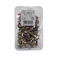 和気産業 カラー上敷鋲 ベージュ 33.3mm 50本入 BS424 BS424 1箱