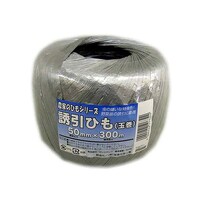 �{�����w�H�Ɓ@�_�Ƃ̂Ђ��V���[�Y�@�U���Ђ��@�V���o�[�@�T�O�����~�R�O�O���@�t�g�O�R�O�@�t�g�O�R�O�@�P��