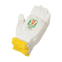 �G�[�X�@���{��R��@�Q�{�ҁ@�V�Q�[�W�@�P�Q�o��