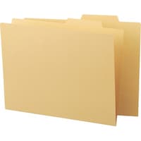 ライオン事務器 個別フォルダー A4IF2 A4IF2 1パック