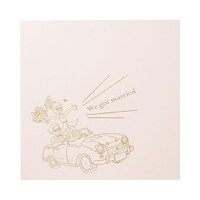 ハクバ ジョイフルハネムーン ピンク 2L 2面 MJHM2L2PK MJHM2L2PK 1個