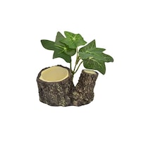 �O������@�I�J���h�J���̃[���[�M�@�T�V�S�@�T�V�S�@�P��