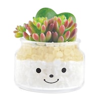 フェイクグリーン 人工観葉植物 ファミーユ