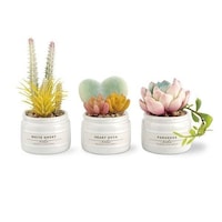 キシマ フェイクグリーン 3個入 Aset エクリア CT触媒 観葉植物