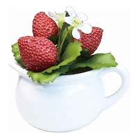 �P�[�A�C�W���p���@�t�F�C�N�O���[���@�X�g���x���[�@�|�b�g