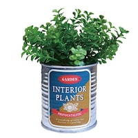 ケーアイジャパン フェイクグリーン TIN缶グリーン 光触媒 ファンシェイプ