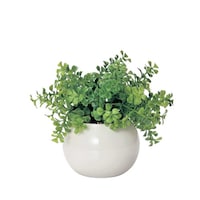 ケーアイジャパン フェイクグリーン ラウンドポット 卓上 ファンシェイプ