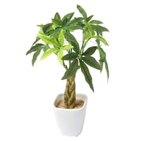 ケーアイジャパン 人工観葉植物 パキラ 27cm 観葉植物 造花 光触媒