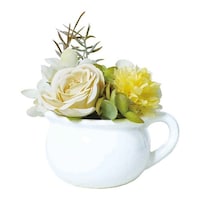 �P�[�A�C�W���p���@�t�F�C�N�O���[���@�u�[�P�@�|�b�g�@�z���C�g