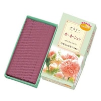 ���{�����@�������@�����@������ׁ@�J�[�l�[�V�����@�o���l