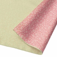 �R�c�@�ہ@���C�~�@�S�T�����@���o�[�V�u���@�L�@���J�o