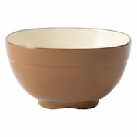 アサヒ興洋 汁椀 11cm SoLow Yasai ごぼう 大人用 お椀 プラスチック