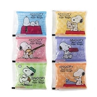 アサヒ興洋 保冷剤 6連パック スヌーピー 子供用 キャラクター