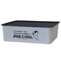 錦化成 収納ボックス M 幅38×奥行27×高さ12cm スヌーピー コレクトBOX フタ付き グレー