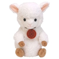 �T���A���[�@�ʂ�����݁@�����������@�A���p�J