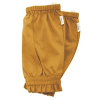 �q�������@�s�������������@�A�[���J�o�[�@���s�i�X�@�C�G���[