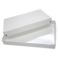 �z�[�V���[�@�v���[�g�@�k�@�g�n�g�@�v���X�`�b�N�@�g�ݗ��ā@�Q������@���{���@�C�G���[�@�O���[