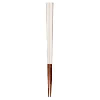 �T�����C�t�@���@�Q�Q�D�T�����@���p���ʁ@�ؐ��@�V�R�؁@���{���@����