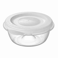 エビス 冷凍ごはん容器 ごはん専用 冷凍 保存容器 一膳 4個入