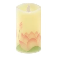 �J�����}�@�k�d�c���[�\�N�@����͂�����@�@�c�{�~�@�d�r��