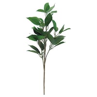 �j���[�z���R�����ԁ@���ԁ@�V�L�~�@��