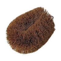 �T�̎q���q�������X�@�T�̎q���q�@�P���i���j