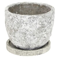 ���c���Y�Ɓ@�A�ؔ��@���M�b�h�X�g�[���|�b�g�l�@�S��