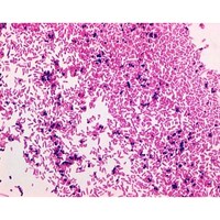 �l���������@�O�����E�T�t���j�����F�t�@�O�������F�p�@�P�O�X�Q�P�V�@�T�O�O�l�k�@�P�D�O�X�Q�P�V�D�O�T�O�O�@�P��