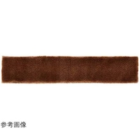 �L���@�x���A�u���V�����p�x���A�@�X���@�R�����@�U�S�T�R�S�@�P�p�b�N