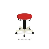 ���c�x�b�h�@�o�s�X�c�[���i�L���X�^�[�t���j�@���ʒ��a�R�U�~�����S�O�[�S�W�����@���b�h�@�s�a�V�U�S�O�P�@�P��