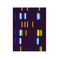 Merck TLCガラスプレート キーゼルグール F254 25 枚, 20×20cm 105738 1ST 1.05738.0001 1個