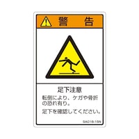 �Z�t�e�B�f���L�@�h�r�n�K�i�������x���@�������Ӂ@�P�܁i�T�����j�@�r�`�O�P�U�P�T�m�@�P��