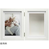 �P���R�[�E�g�L�i�[�@�f�B�X�v���C�t���[���@�z���C�g�@�o�r�l�e�Q�k�v�s�v�g�@�P��