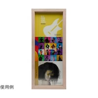 ケンコー・トキナー CDディスプレイフレーム(CDケース3枚タイプ)タテ置き用 コーラルホワイト PSCD3TCW 1個