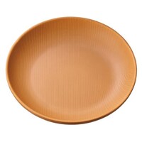 �_�C���@�Q�P�����v���[�g�@���C�g�u���E���@�v�c�P�O�k�a�q�@�P��